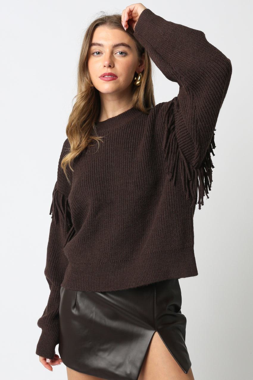 Sweater With Fringe Sleeve Detail - dark brown, womens sweater collection