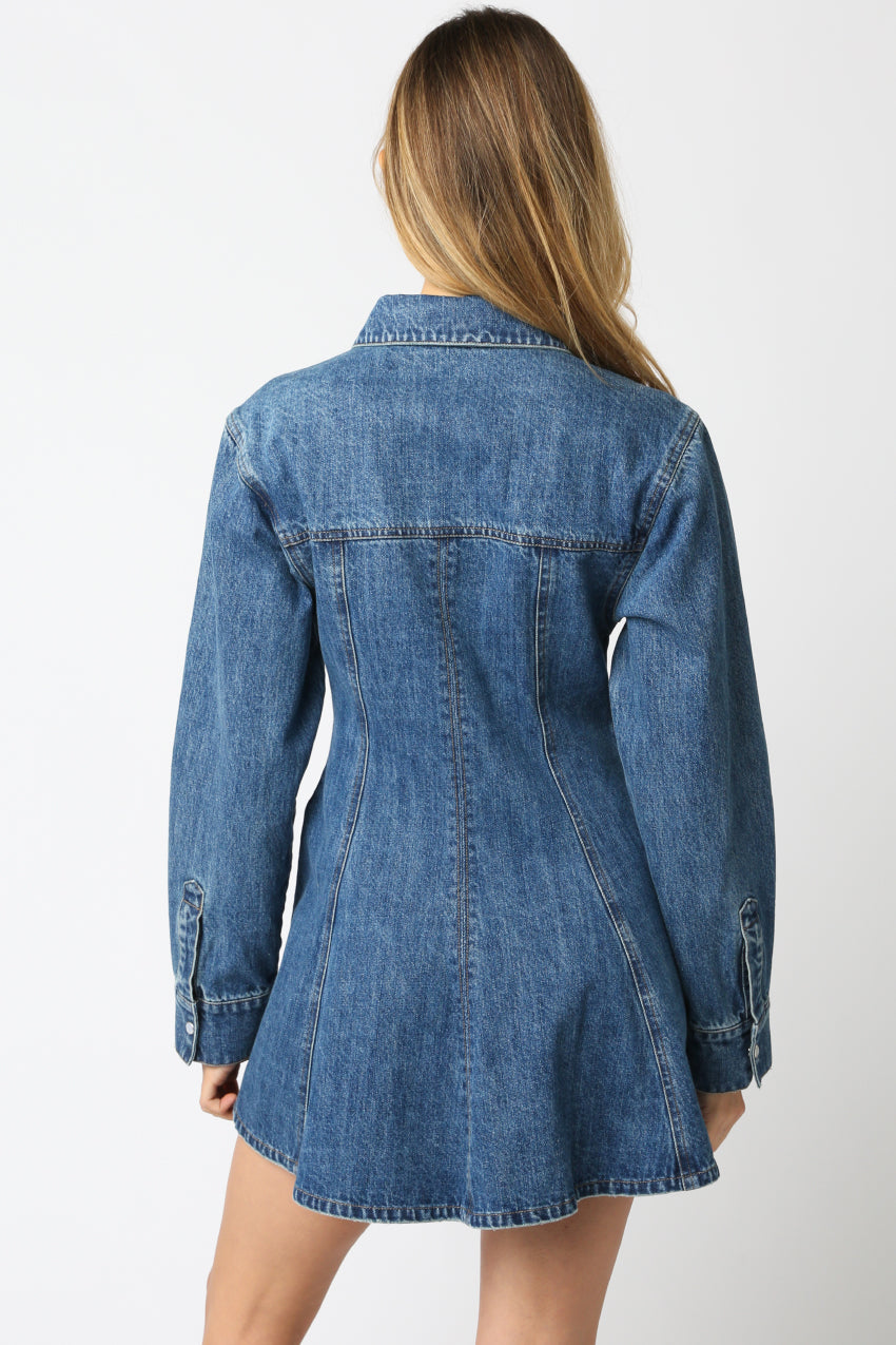 Button Denim Dress - Denim, Women's Dresses Collection