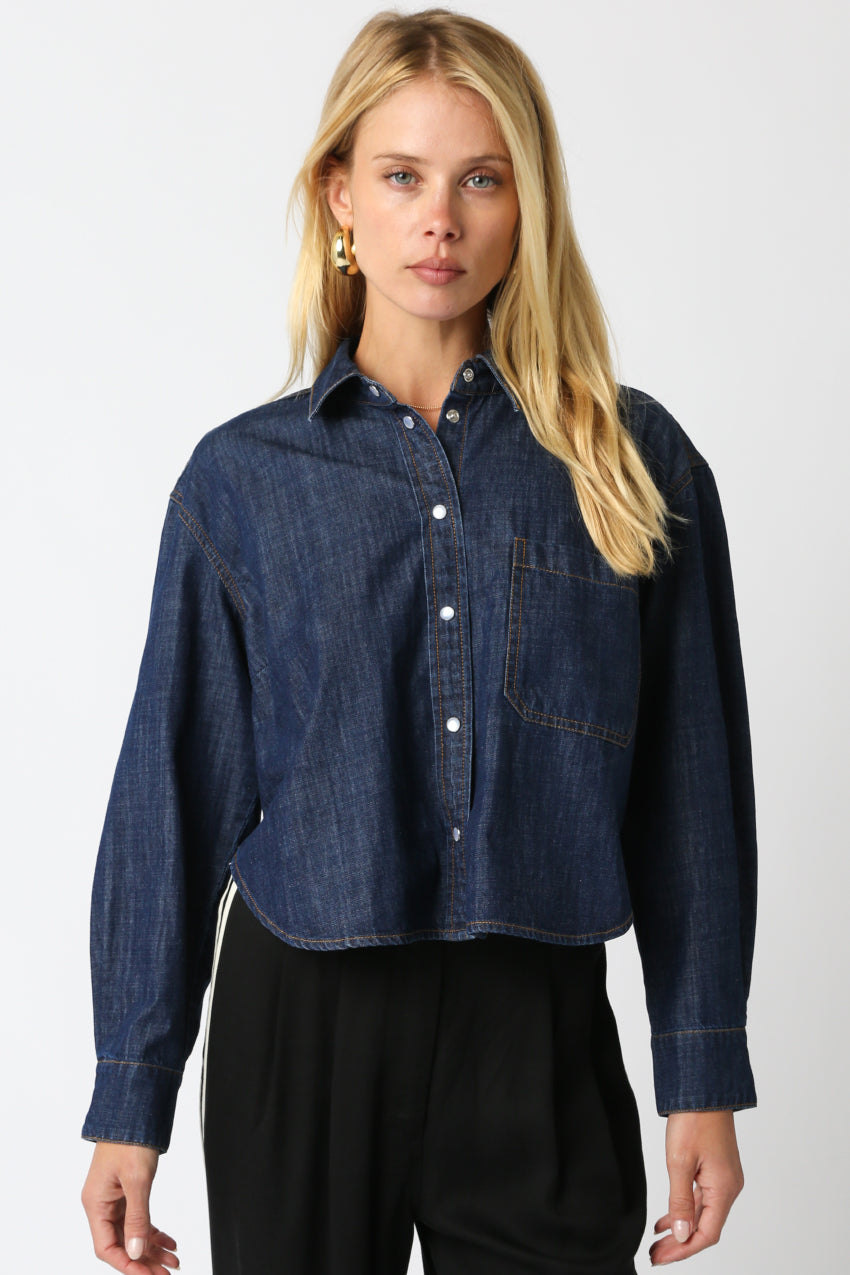 Denim Button Front long sleeve Top - denim color, womens top collection