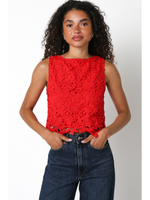 Crop Lace Top