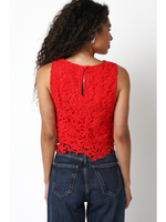 Crop Lace Top