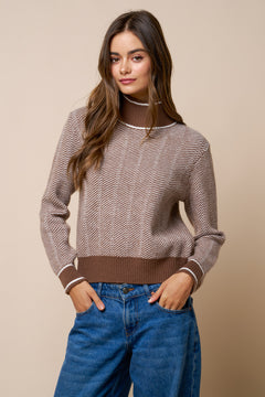 Turtle Neck Sweater