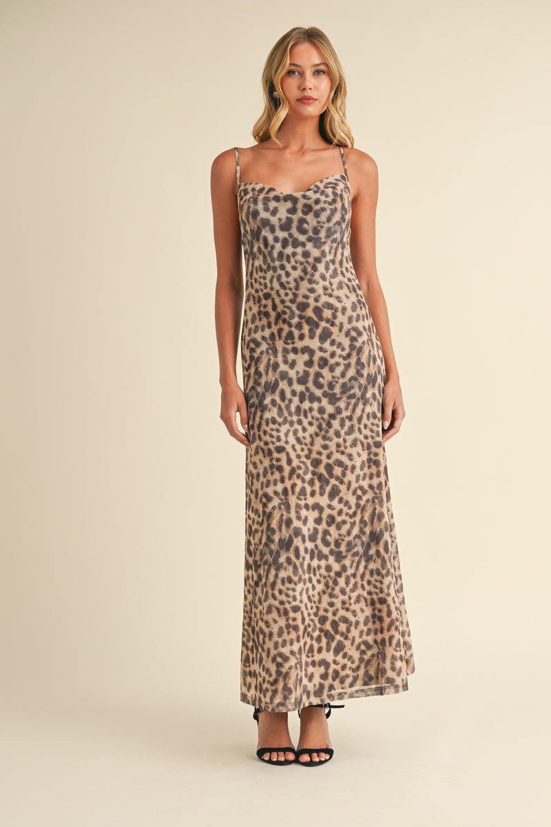 Printed Mesh Maxi Dress