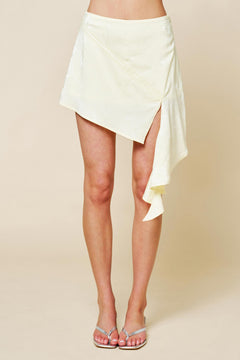 Lace Inset Skirt