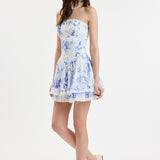 Lace Down Tube Mini Dress