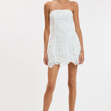 Floral Embroidered Lace Tube Mini Dress