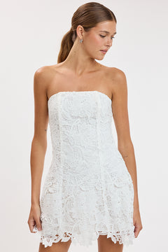 Floral Embroidered Lace Tube Mini Dress