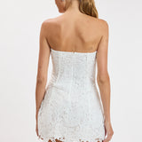 Floral Embroidered Lace Tube Mini Dress